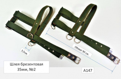 Шлея брезент. №2, А147