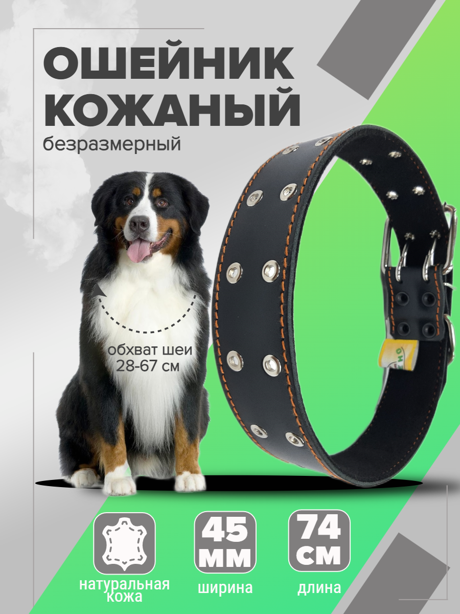 Ошейник кожаный 45 мм Сильное Звено