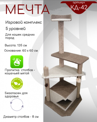 МЕЧТА