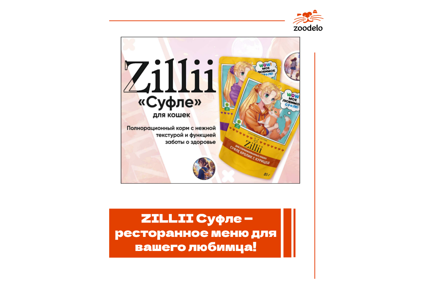 ZILLII Суфле
