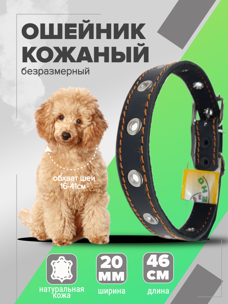 Ошейник кожаный 20 мм Сильное Звено