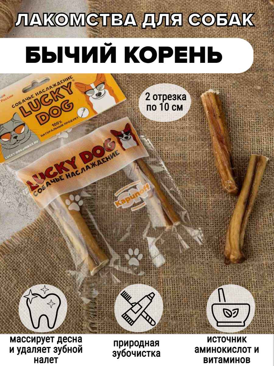 БЫЧИЙ КОРЕНЬ ДУЭТ