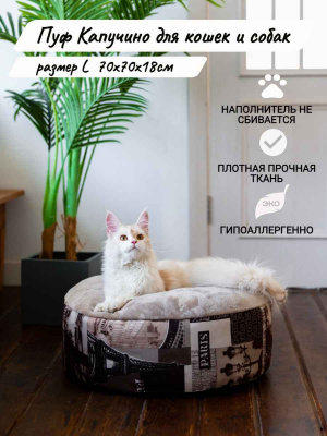 ПУФ КАПУЧИНО м (1)