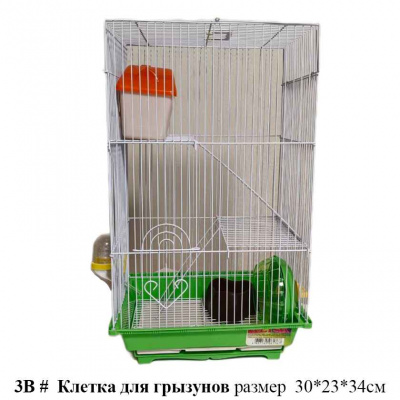 3В клетки