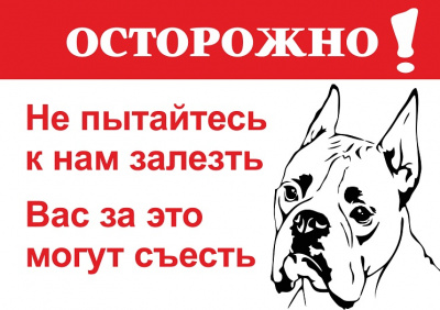 злая собака-8