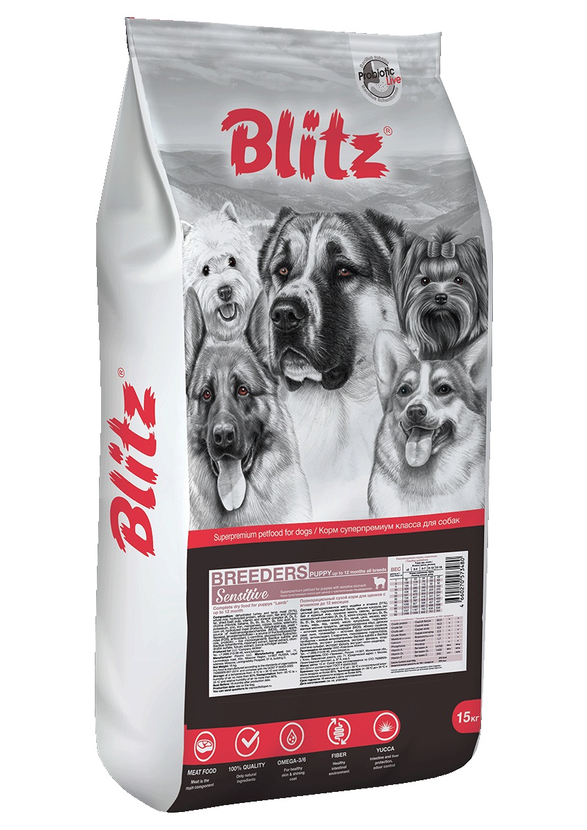 blitz-breeders-puppy-lamb-all-breeds-15