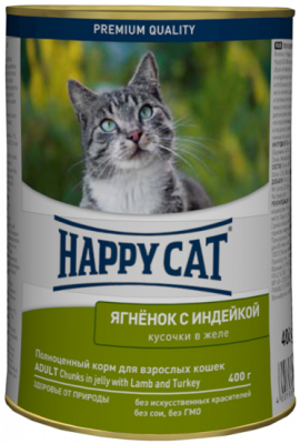 ягн-инд