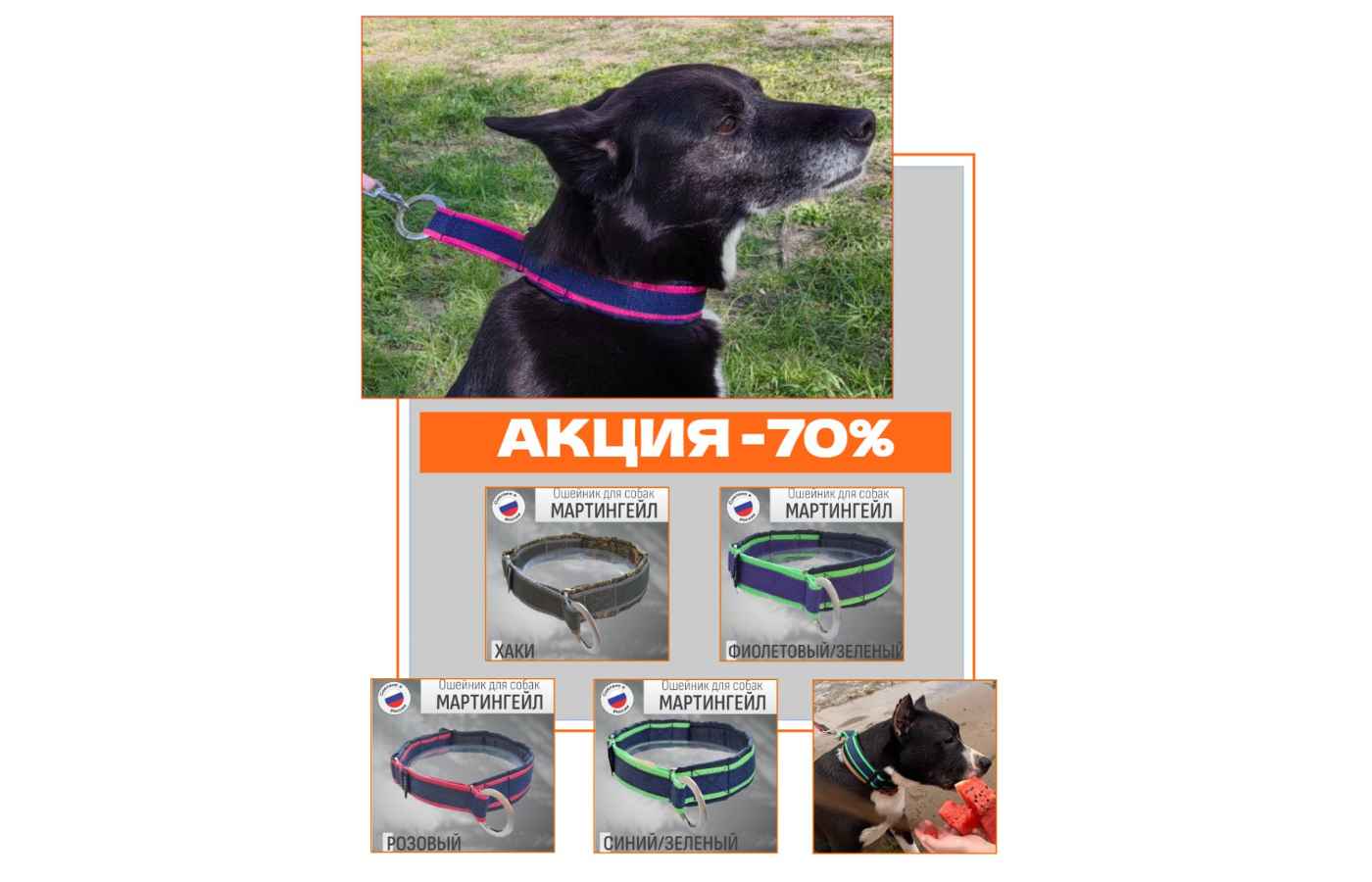 Ошейник Мартингейл со скидкой 70%