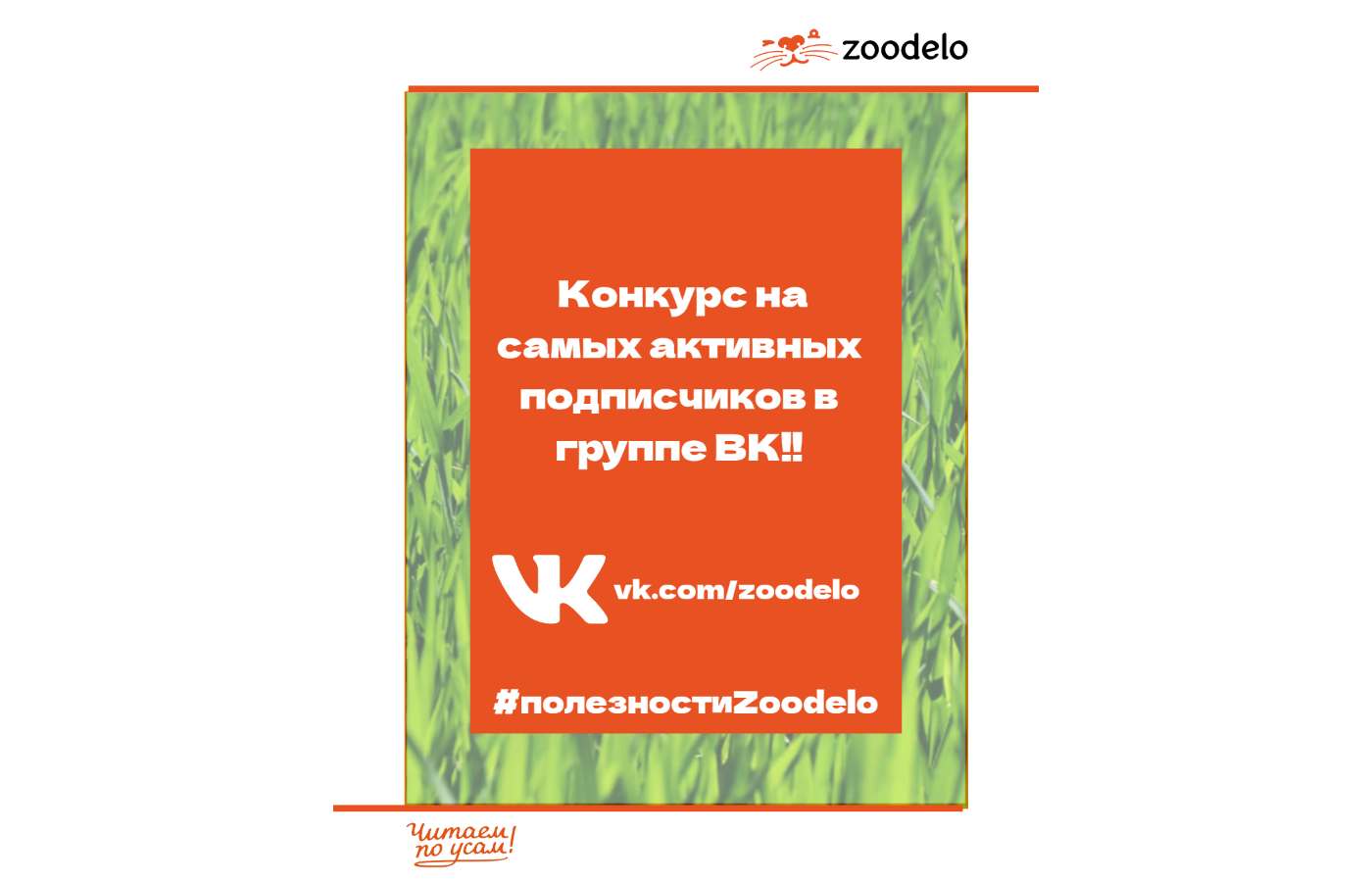 Конкурс на самых активных подписчиков в ВК
