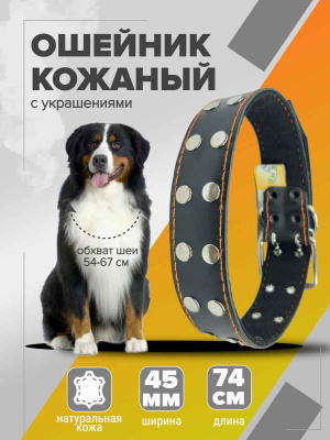 2 сильное звено ошейник кожаный с украшениями 337_12