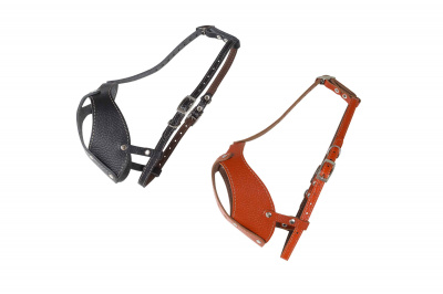 information_items_property_1133_11zon