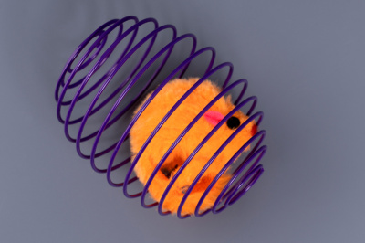 273228_6