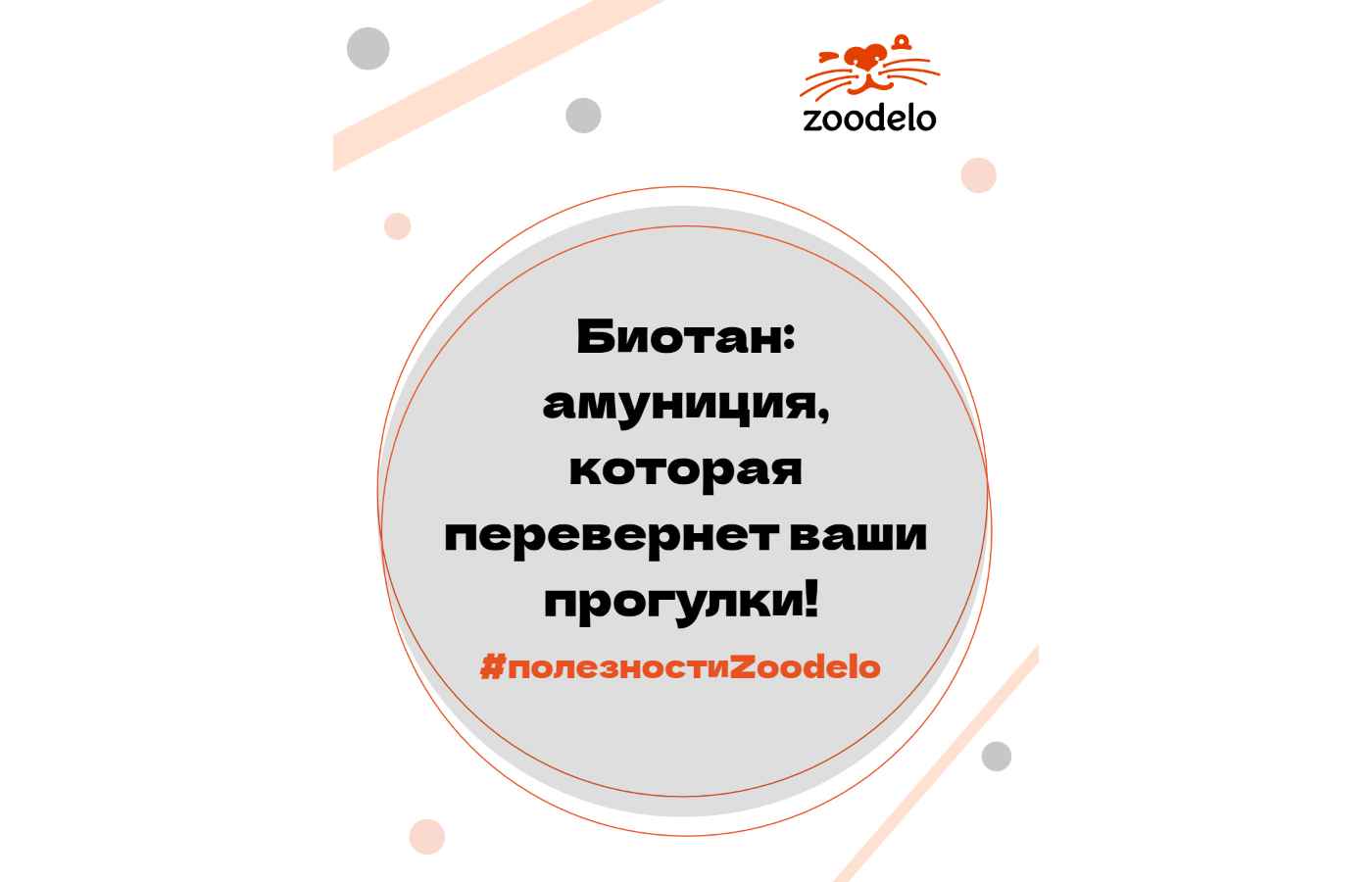 Биотан: амуниция, которая перевернет ваши прогулки!