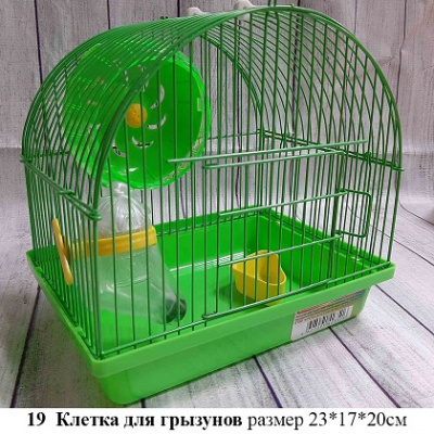 клетки19