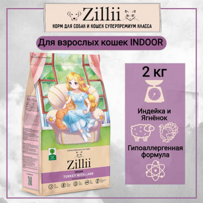 зилли INDOOR 2_4