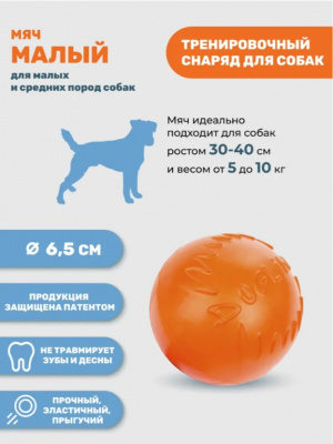 2024-03-29_16-50-22_8_11zon