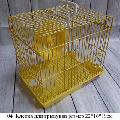 клетки04
