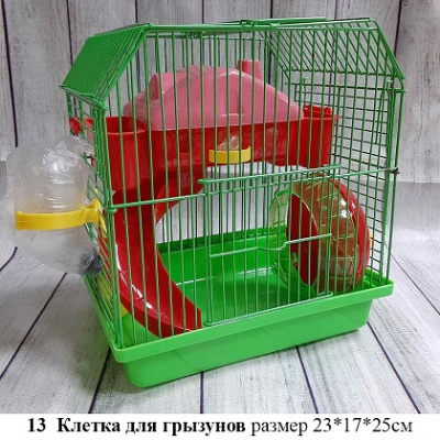 клетки13