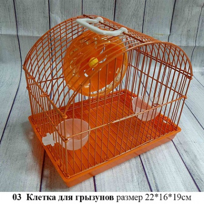 клетки03