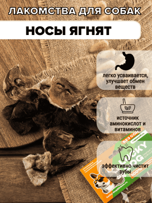 НОСЫ ЯГНЯТ (1) (1) (1) (1)