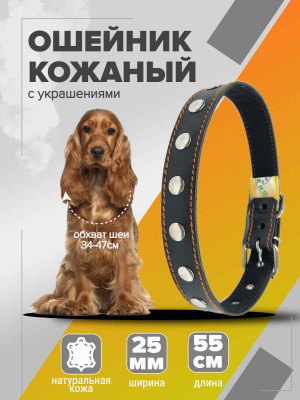 2 сильное звено ошейник кожаный с украшениями 334 (1)_9