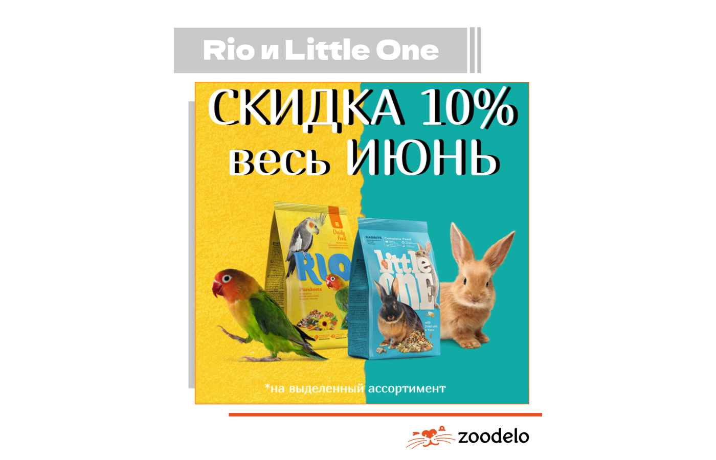 –10% ВЕСЬ ИЮНЬ на Rio и Little One