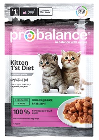 PB kitten rabbit 85 face