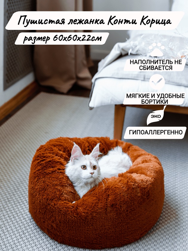 Конти корица 60х60х22см (1)-min