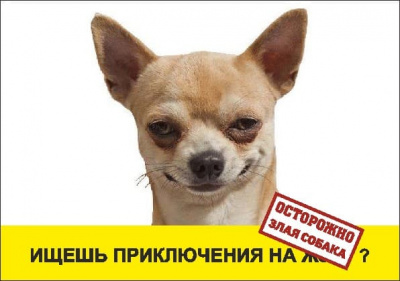 Табличка  Ищешь приключение на ж...