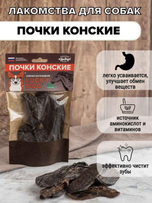 ПОЧКИ КОНСКИЕ