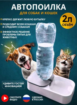 2024-08-14_10-26-51_11zon