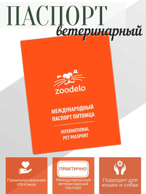 паспорт (1)