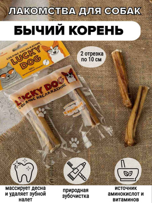БЫЧИЙ КОРЕНЬ ДУЭТ