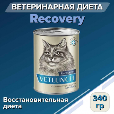 Recovery для кошек 340_12