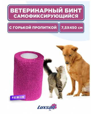 2023-02-20_11-03-26