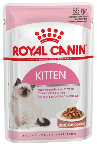 d_kitten_in_gravy