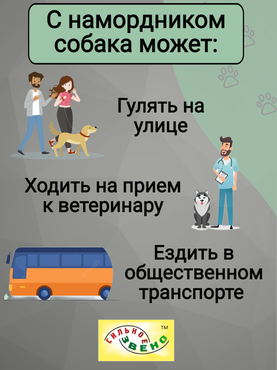 Намордник кожаный сетка №1 Сильное Звено
